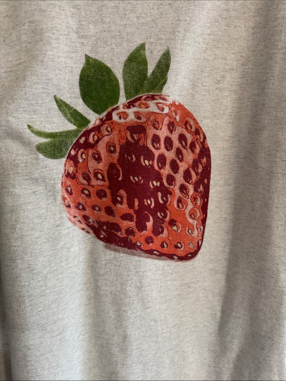 Anthropologie Strawberry Graphic Boyfriend Tee Size L Oversized - Picture 4 of 7